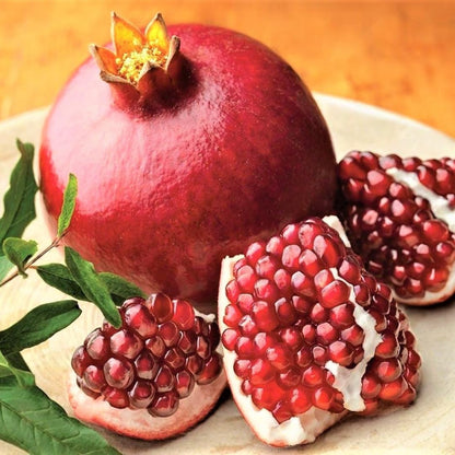 Sweet Pomegranate Live Tree, Edible Fruit, 5-8 Inch Tall