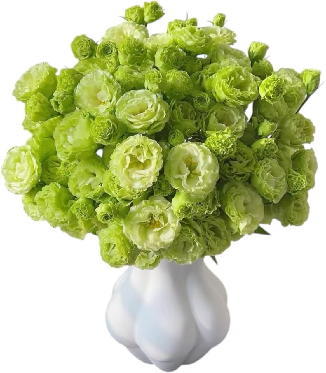Fresh Lisianthus Flowers Bouquet Ruffled Eustoma Fresh Cut Flowers for Home Decor Wedding Gift 10 Stems (Green)