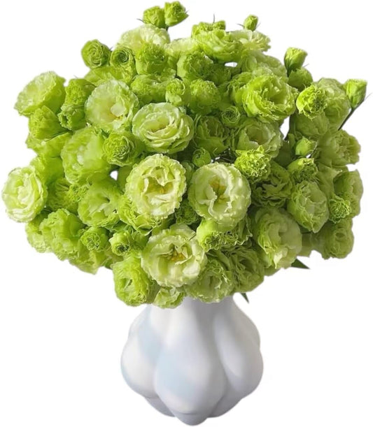 Fresh Lisianthus Flowers Bouquet Ruffled Eustoma Fresh Cut Flowers for Home Decor Wedding Gift 10 Stems (Green)