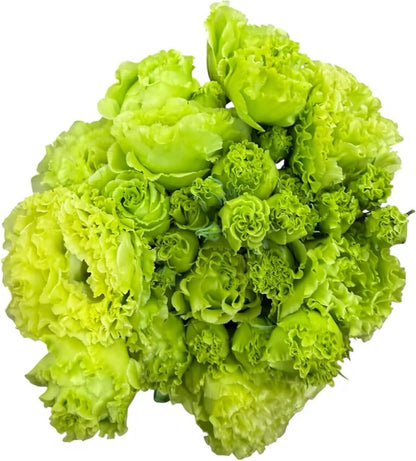Fresh Lisianthus Flowers Bouquet Ruffled Eustoma Fresh Cut Flowers for Home Decor Wedding Gift 10 Stems (Green)