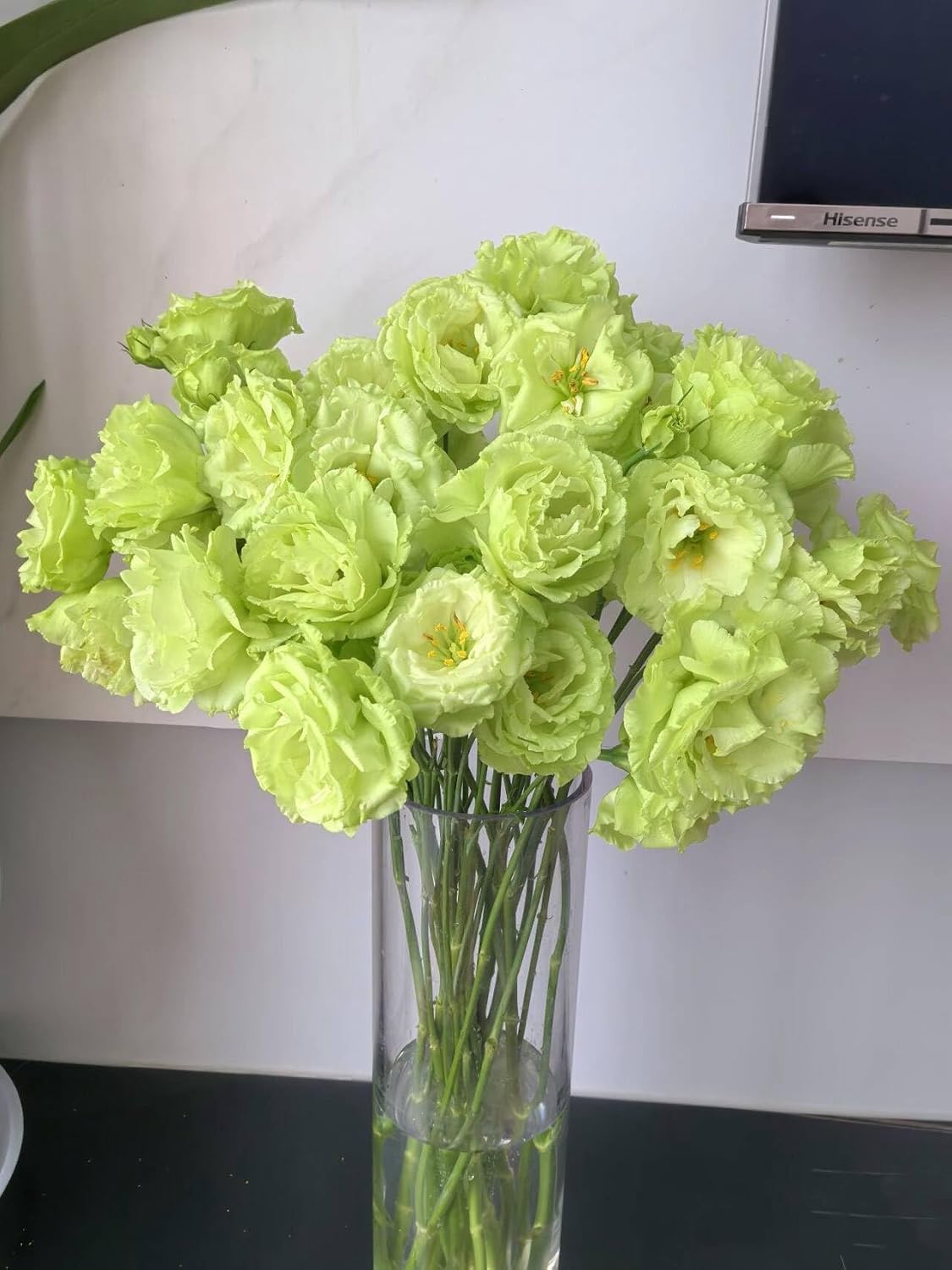 Fresh Lisianthus Flowers Bouquet Ruffled Eustoma Fresh Cut Flowers for Home Decor Wedding Gift 10 Stems (Green)