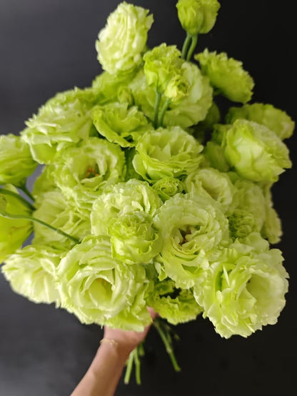 Fresh Lisianthus Flowers Bouquet Ruffled Eustoma Fresh Cut Flowers for Home Decor Wedding Gift 10 Stems (Green)