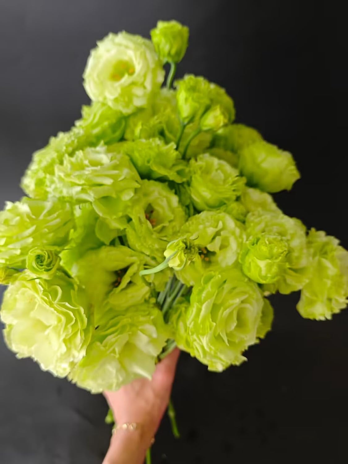 Fresh Lisianthus Flowers Bouquet Ruffled Eustoma Fresh Cut Flowers for Home Decor Wedding Gift 10 Stems (Green)