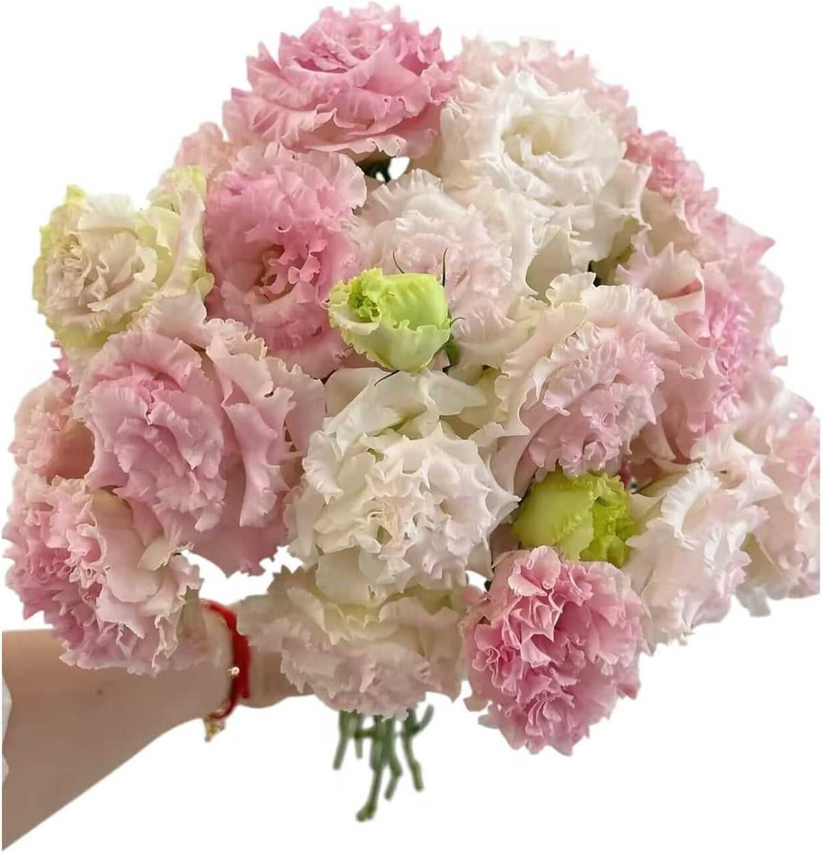 Fresh Lisianthus Flowers Bouquet Ruffled Eustoma Fresh Cut Flowers for Home Decor Wedding Gift 10 Stems (Green)