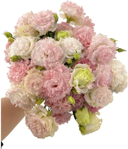 Fresh Lisianthus Flowers Bouquet Ruffled Eustoma Fresh Cut Flowers for Home Decor Wedding Gift 10 Stems (Green)