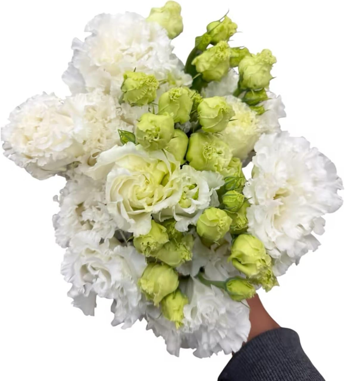 Fresh Lisianthus Flowers Bouquet Ruffled Eustoma Fresh Cut Flowers for Home Decor Wedding Gift 10 Stems (Green)