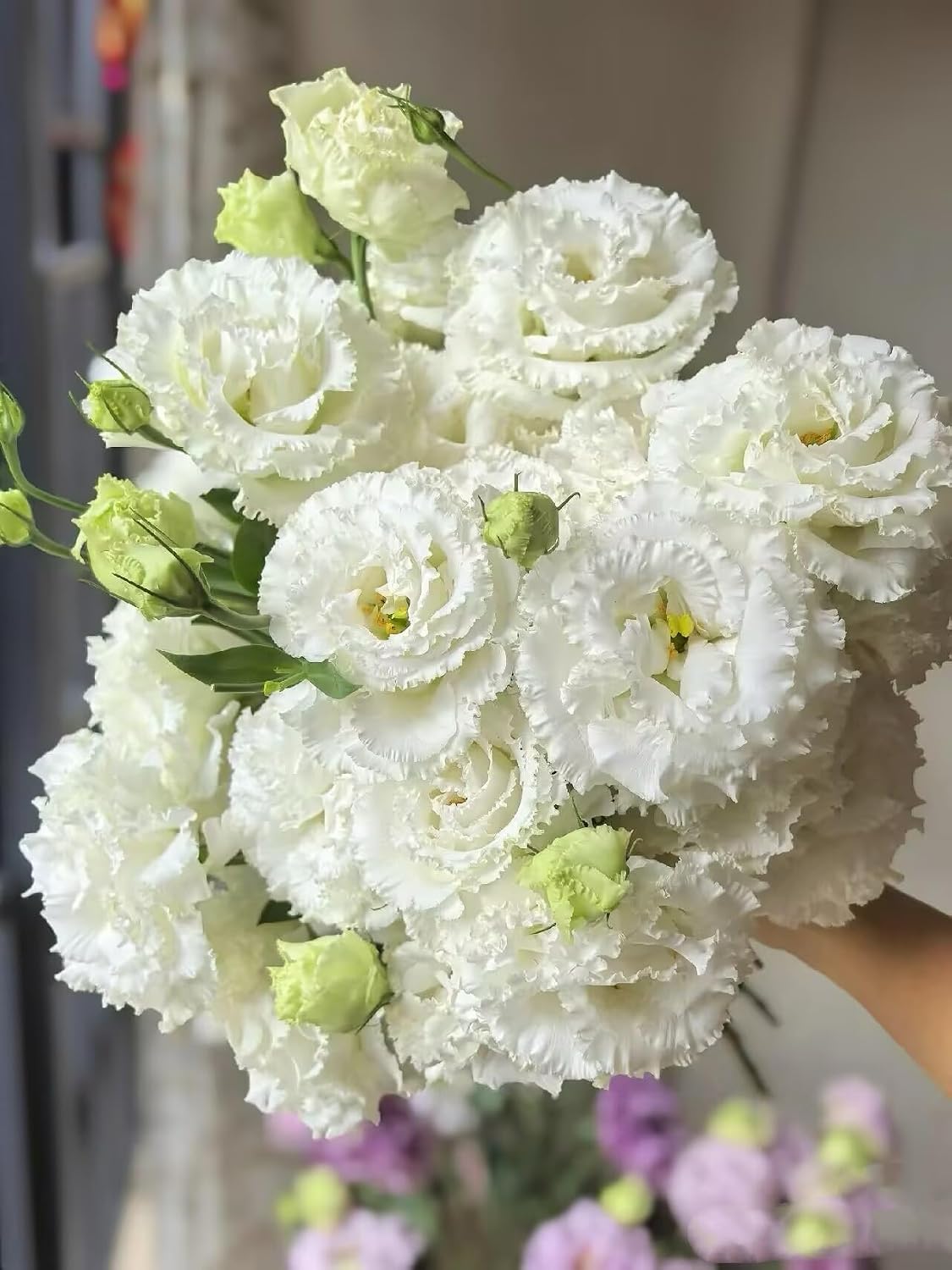 Fresh Lisianthus Flowers Bouquet Ruffled Eustoma Fresh Cut Flowers for Home Decor Wedding Gift 10 Stems (Green)