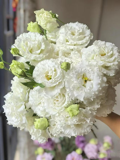 Fresh Lisianthus Flowers Bouquet Ruffled Eustoma Fresh Cut Flowers for Home Decor Wedding Gift 10 Stems (Green)