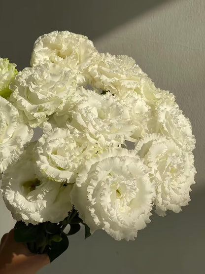 Fresh Lisianthus Flowers Bouquet Ruffled Eustoma Fresh Cut Flowers for Home Decor Wedding Gift 10 Stems (Green)