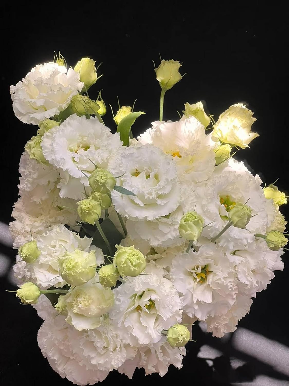Fresh Lisianthus Flowers Bouquet Ruffled Eustoma Fresh Cut Flowers for Home Decor Wedding Gift 10 Stems (Green)