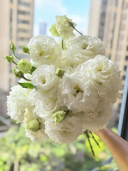 Fresh Lisianthus Flowers Bouquet Ruffled Eustoma Fresh Cut Flowers for Home Decor Wedding Gift 10 Stems (Green)