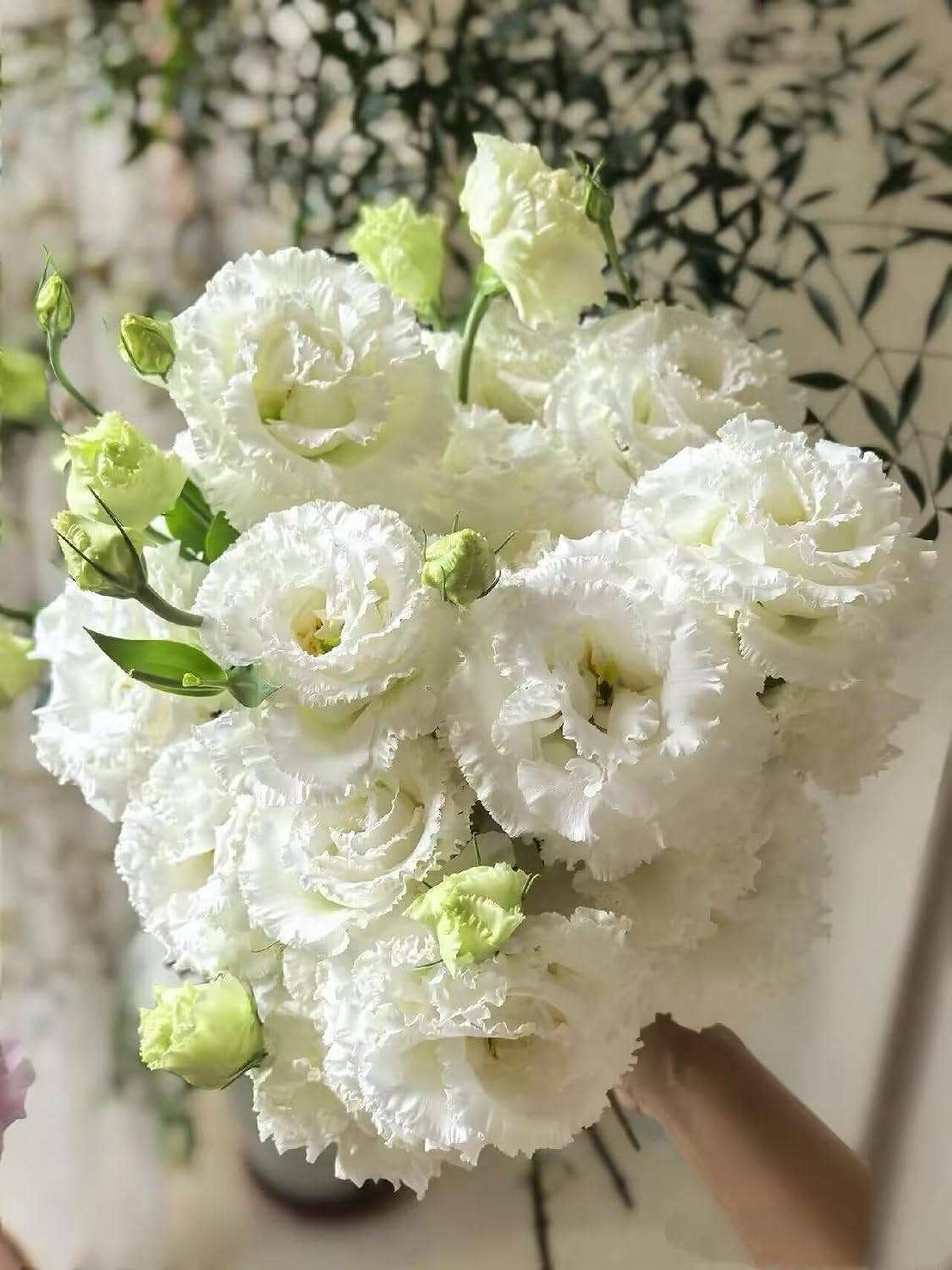 Fresh Lisianthus Flowers Bouquet Ruffled Eustoma Fresh Cut Flowers for Home Decor Wedding Gift 10 Stems (Green)