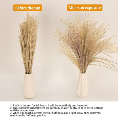 Dried Pampas Grass Decor, 100 Stems Pampas Grass Contains Bunny Tails Dried Flowers, Reed Grass Bouquet for Wedding Boho Flowers Home Table Decor, Rustic Farmhouse Party (17", White and Brown)