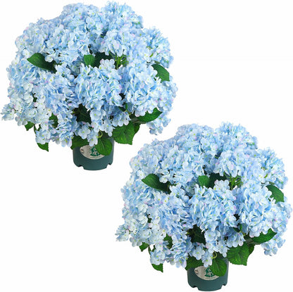Artificial Hydrangea Bush – 20 Inch Potted Faux Hydrangea Plant, UV Resistant Outdoor Hydrangea Artificial Plants for Front Porch, Garden, Patio & Indoor Decor