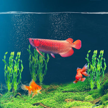 12Pcs Artificial Seaweed Water Plants, Aquarium Decorative Plants, Plastic Fish Tank Plants Decoration for Home and Office Fish Tanks(Green)
