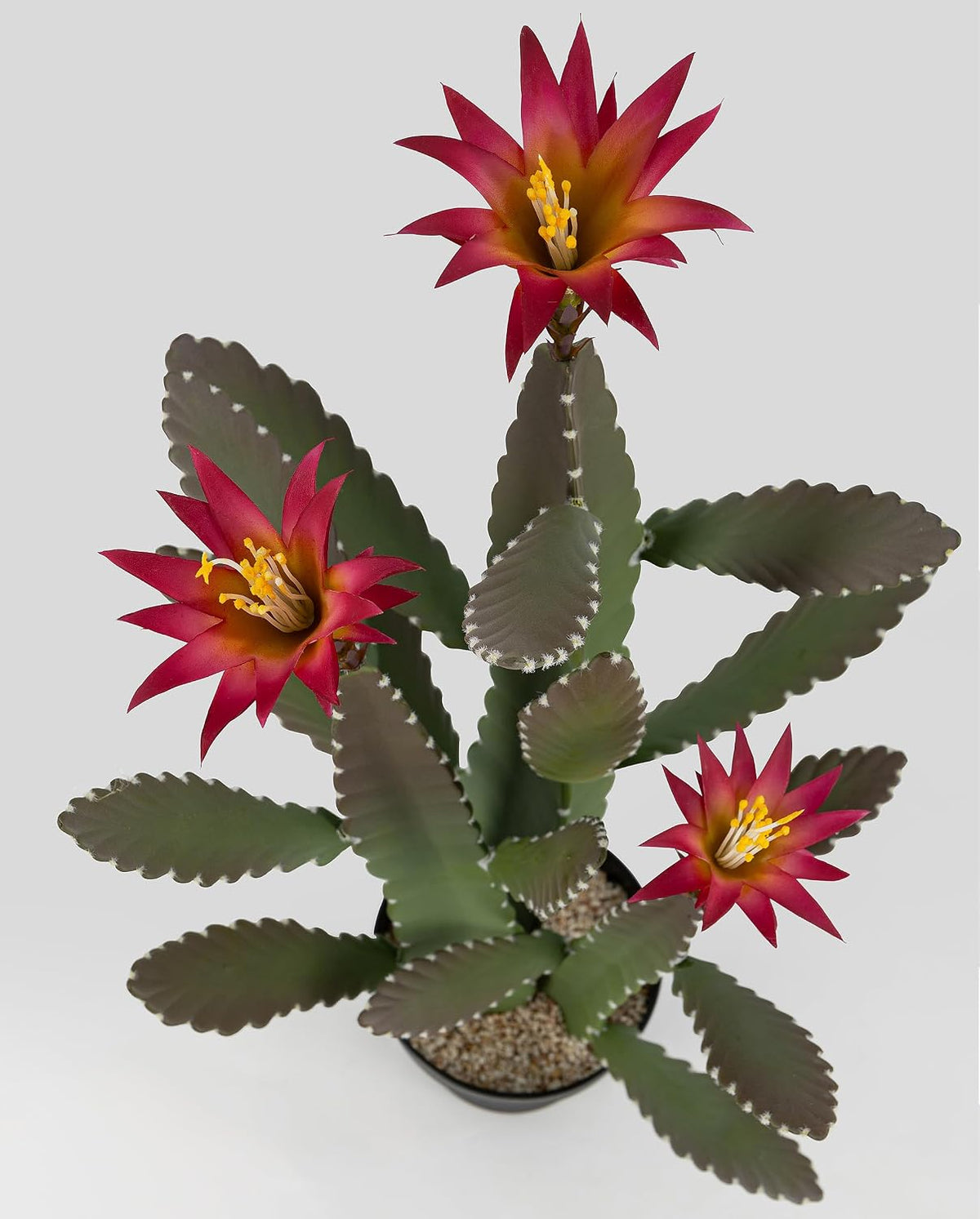 33 Inch Large Artificial Cactus with Lilly White Flowers in Pot with Natural Gravel. Satin Finish Leaves with Real Look and Feel. Outdoor and Indoor Faux Plants.