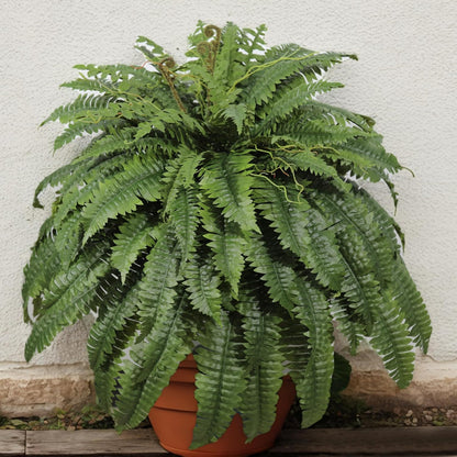 Large Artificial Fern for Outdoors, 100 Branches Fake Ferns Artificial Plants, Large Faux Ferns Outdoor Plants, Suitable for Planter Garden Porch Living Room Decor