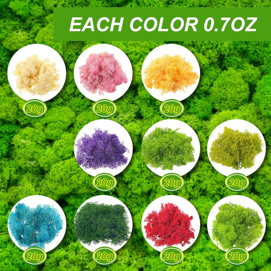 7 Oz Colored Fake Moss Preserved for Crafts Artificial Decorative Moss Faux Garden Dried Floral Forest for Terrariums Wall Decor Fairy Gardens Wedding Floral Project(Mixed Color)