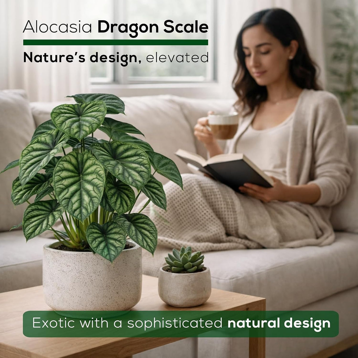 Alocasia Plant Collection (4 Pack) -Cuprea, Mickey Mouse, Silver Dragon, Dragon Scale- Rare Indoor Houseplants, Exotic Elephant Ear Plants Live, Live Starter Plants.