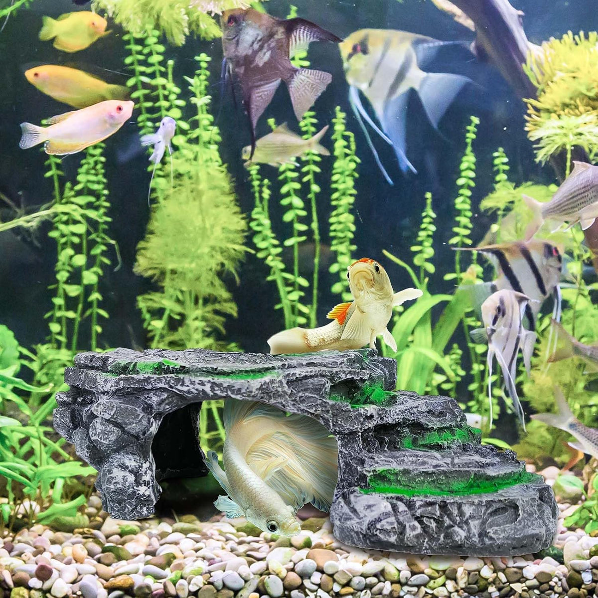 Turtle Basking Platform Turtle Tank Decoration for Aquariums & Terrarium, Turtle, Lizard, Reptile Habitat Hideout (Black)