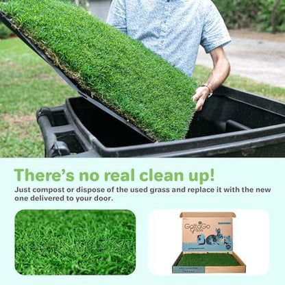 Gotta Go Grass for Small Animals – Natural Real Grass Bedding & Pet Resting Pad, Grass Potty Pad for Rabbits, Guinea Pigs, Hamsters, and Small Pets, Odor Absorbent Grass Mat (Refill Pack 16" x 24")