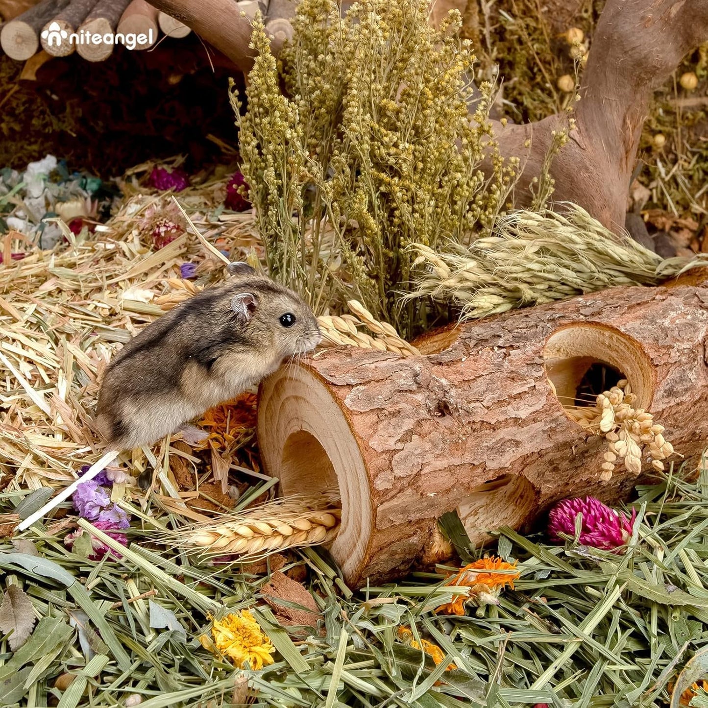Natural Wooden Hamster Mouse Tunnel Tube Toy Forest Hollow Tree Trunk