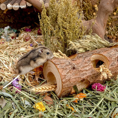 Natural Wooden Hamster Mouse Tunnel Tube Toy Forest Hollow Tree Trunk