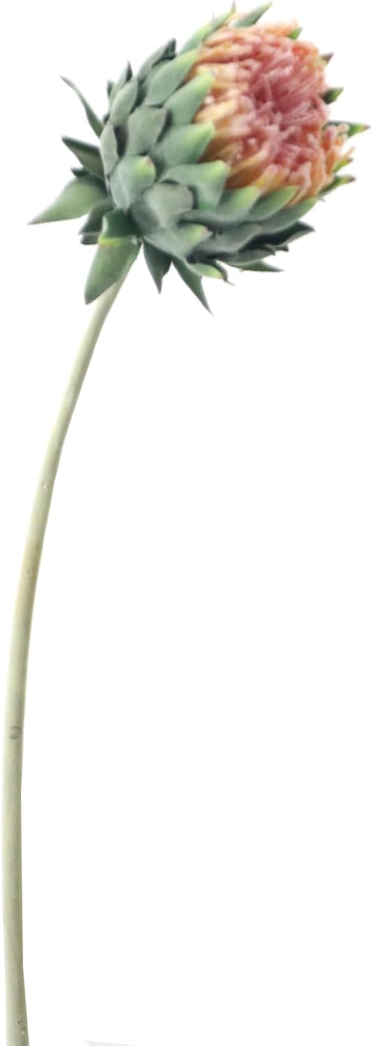 2pcs Artificial King Protea Flowers,60 CM/24 inches Long Stem Faux Cynaroides Flower Decoration for Table/Home/Office/Restaurant (Pink)