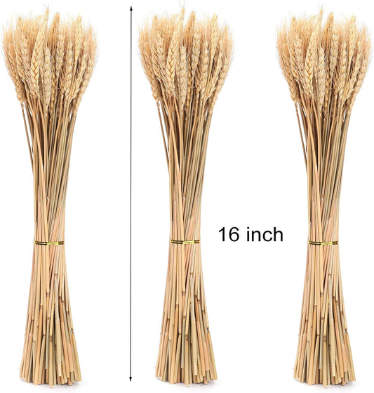 300 Stems Dried Wheat Stalks, 16 Inch Natural Wheat Sheaves Fall Arrangement for DIY Craft, Home Table, Wedding Decor