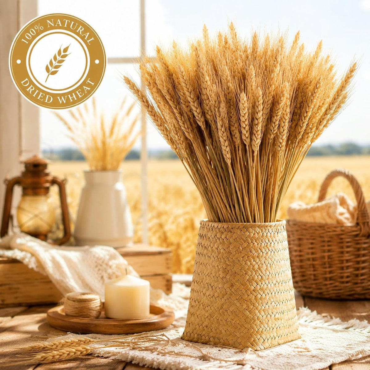 300 Stems Dried Wheat Stalks, 16 Inch Natural Wheat Sheaves Fall Arrangement for DIY Craft, Home Table, Wedding Decor