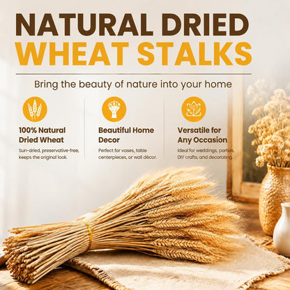 300 Stems Dried Wheat Stalks, 16 Inch Natural Wheat Sheaves Fall Arrangement for DIY Craft, Home Table, Wedding Decor
