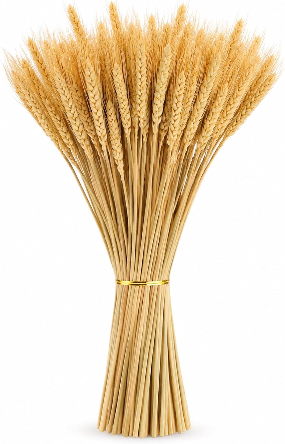 300 Stems Dried Wheat Stalks, 16 Inch Natural Wheat Sheaves Fall Arrangement for DIY Craft, Home Table, Wedding Decor