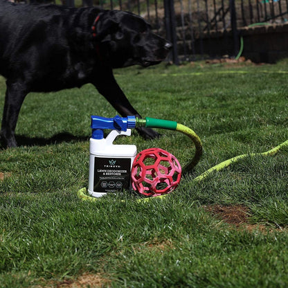 Lawn Deodorizer & Restorer for Dog Urine, 32 fl oz