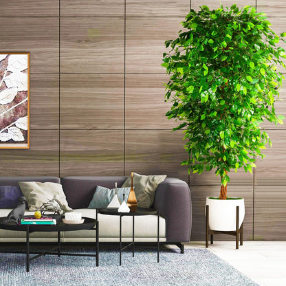 OXLLXO 6ft Artificial Ficus Silk Tree (72in) with Plastic Nursery Pot Faux Tree, Fake Plant for Office House Farmhouse Living Room Home Decor (Indoor/Outdoor)