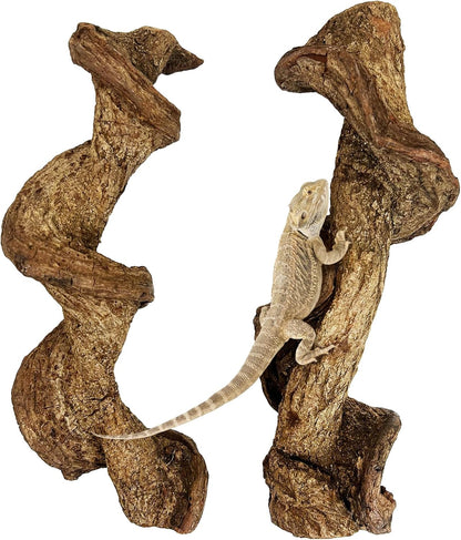 Reptile Climbing Decor Thick Wood Branches Snake Habitat Decorations Terrarium Wooden Tree Trunk Ornament for Bearded Dragon Lizard Snake Geckos Chameleon Frog