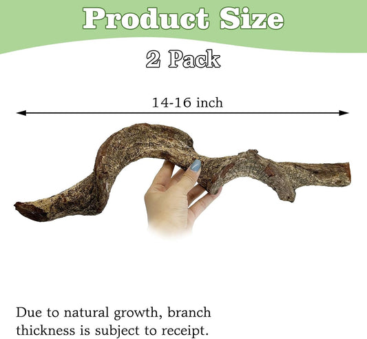 Reptile Climbing Decor Thick Wood Branches Snake Habitat Decorations Terrarium Wooden Tree Trunk Ornament for Bearded Dragon Lizard Snake Geckos Chameleon Frog