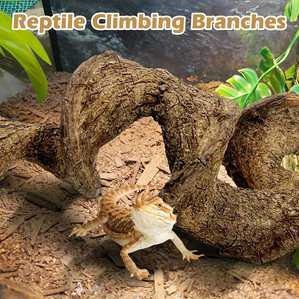 Reptile Climbing Decor Thick Wood Branches Snake Habitat Decorations Terrarium Wooden Tree Trunk Ornament for Bearded Dragon Lizard Snake Geckos Chameleon Frog