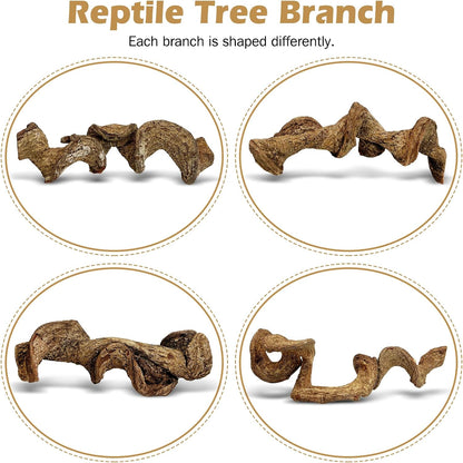 Reptile Climbing Decor Thick Wood Branches Snake Habitat Decorations Terrarium Wooden Tree Trunk Ornament for Bearded Dragon Lizard Snake Geckos Chameleon Frog
