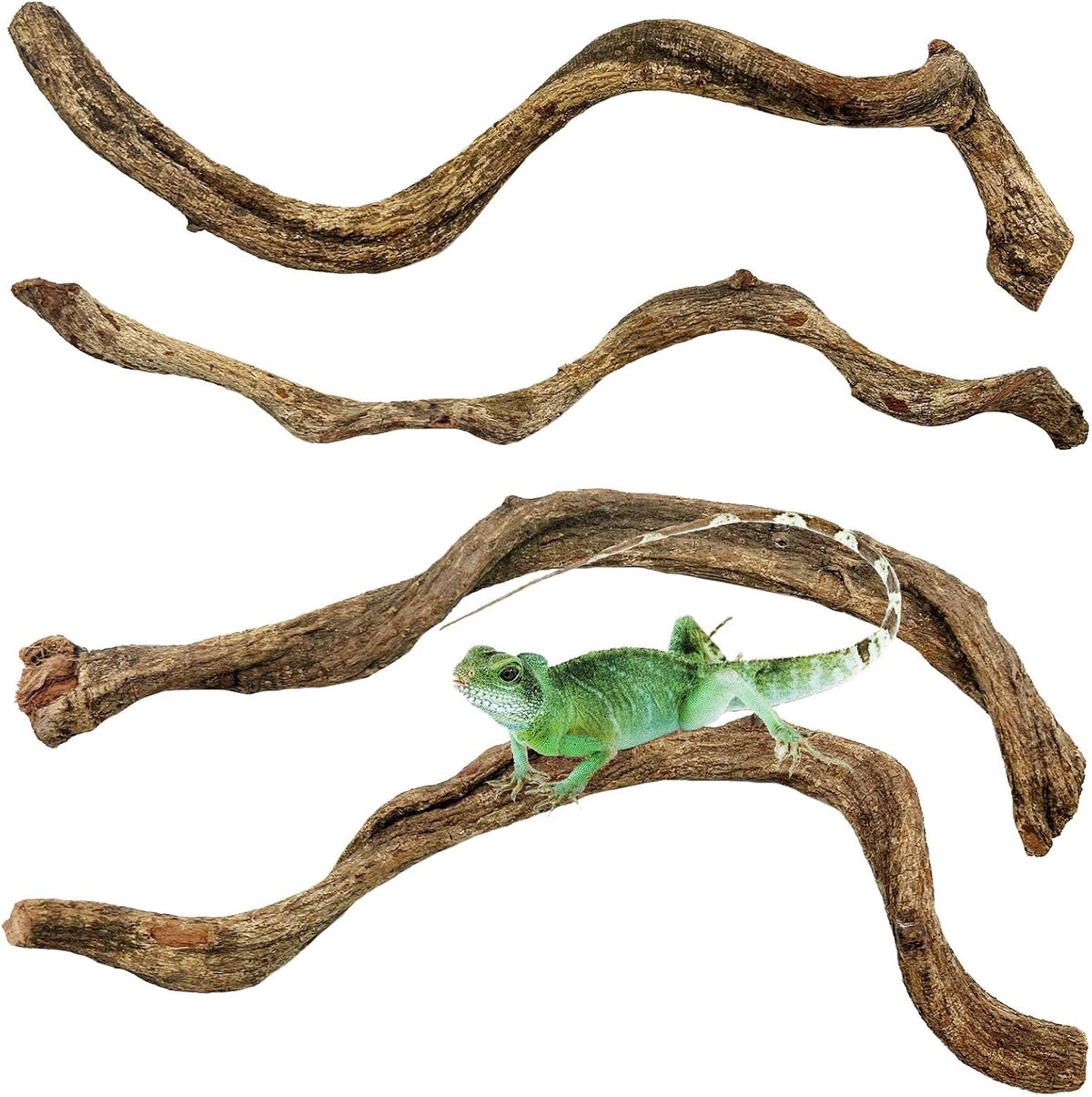 Reptile Climbing Decor Thick Wood Branches Snake Habitat Decorations Terrarium Wooden Tree Trunk Ornament for Bearded Dragon Lizard Snake Geckos Chameleon Frog