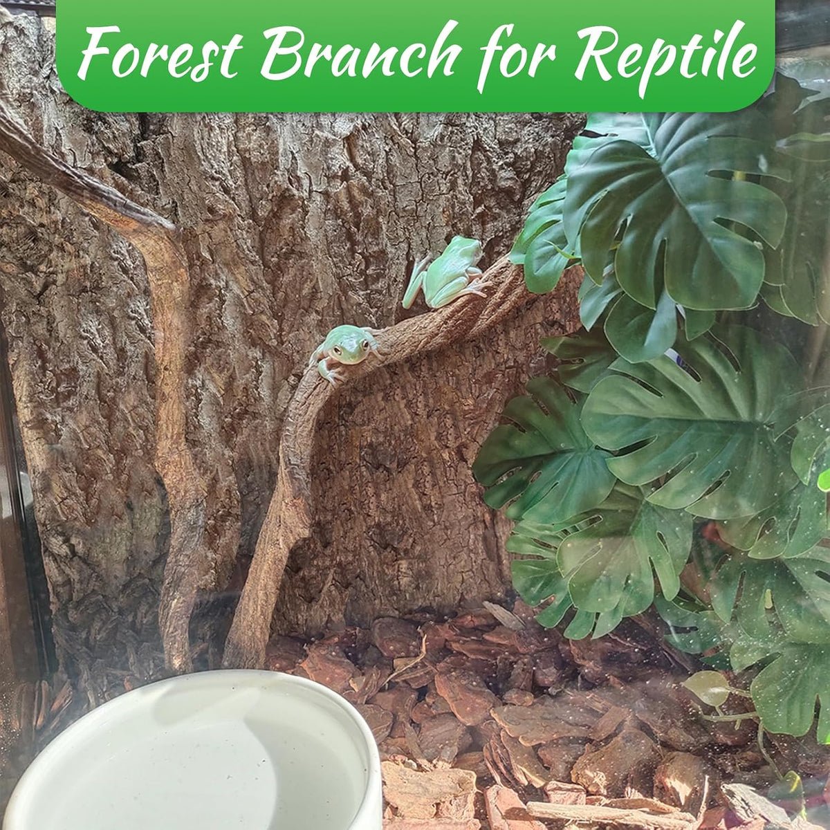 Reptile Climbing Decor Thick Wood Branches Snake Habitat Decorations Terrarium Wooden Tree Trunk Ornament for Bearded Dragon Lizard Snake Geckos Chameleon Frog