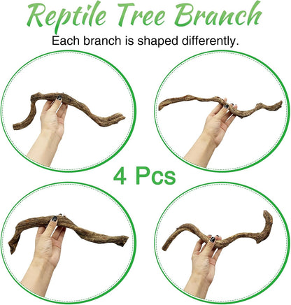 Reptile Climbing Decor Thick Wood Branches Snake Habitat Decorations Terrarium Wooden Tree Trunk Ornament for Bearded Dragon Lizard Snake Geckos Chameleon Frog