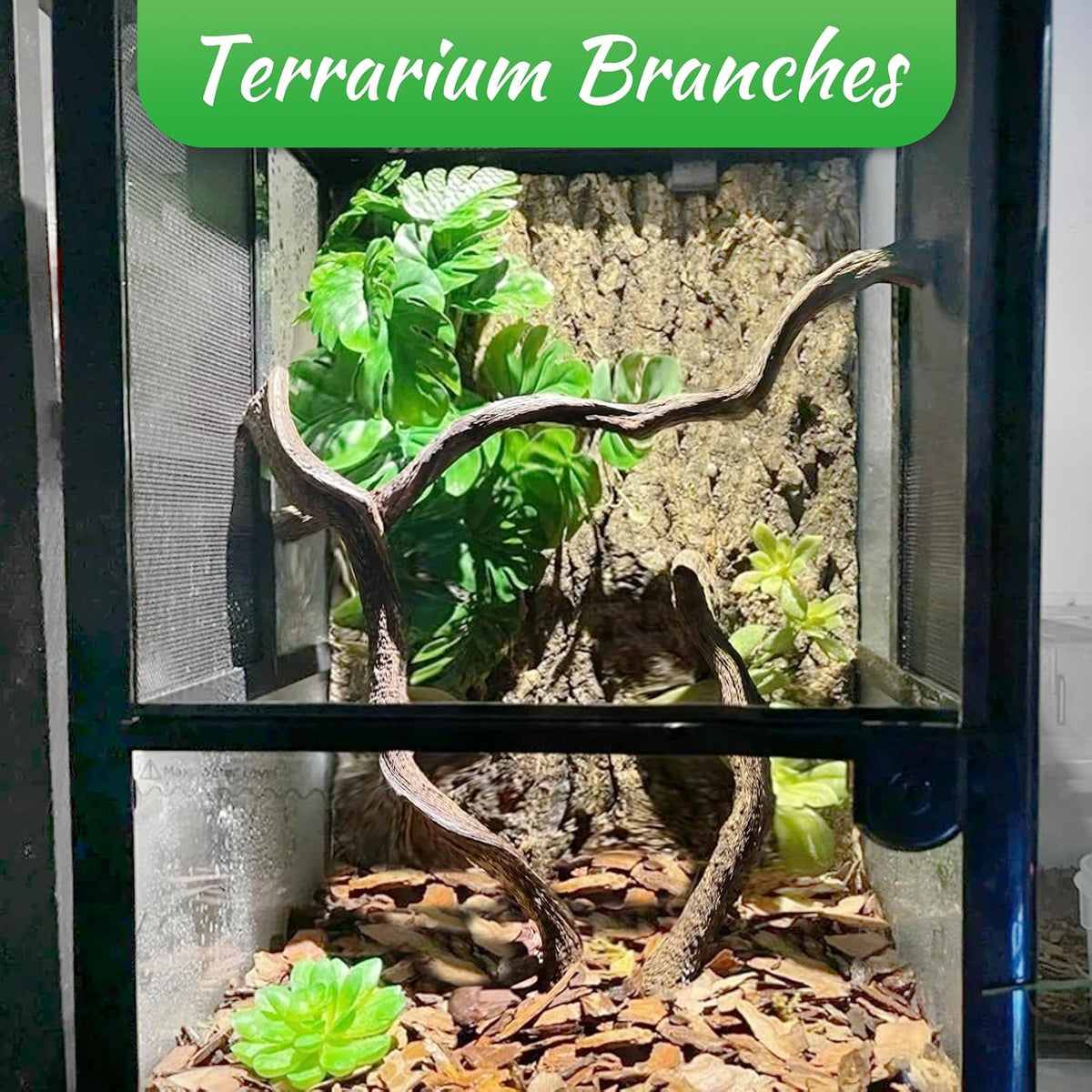 Reptile Climbing Decor Thick Wood Branches Snake Habitat Decorations Terrarium Wooden Tree Trunk Ornament for Bearded Dragon Lizard Snake Geckos Chameleon Frog