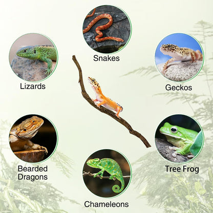 Reptile Climbing Decor Thick Wood Branches Snake Habitat Decorations Terrarium Wooden Tree Trunk Ornament for Bearded Dragon Lizard Snake Geckos Chameleon Frog