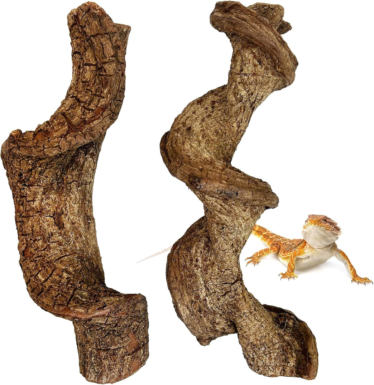 Reptile Climbing Decor Thick Wood Branches Snake Habitat Decorations Terrarium Wooden Tree Trunk Ornament for Bearded Dragon Lizard Snake Geckos Chameleon Frog