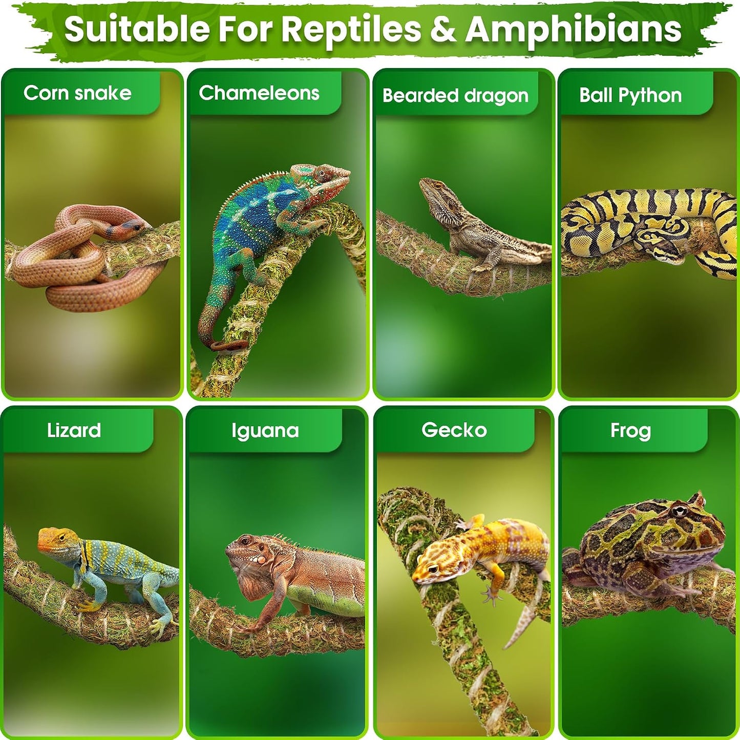6.5FT Reptile Vine & Moss Set for Climbing Bendable Branch, Natural Moss Rope Jungle Decor for Bearded Dragon, Chameleon Tank Accessories, Snake Gecko Lizard Terrarium