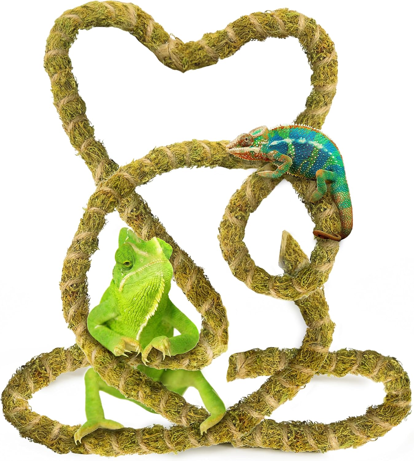 6.5FT Reptile Vine & Moss Set for Climbing Bendable Branch, Natural Moss Rope Jungle Decor for Bearded Dragon, Chameleon Tank Accessories, Snake Gecko Lizard Terrarium
