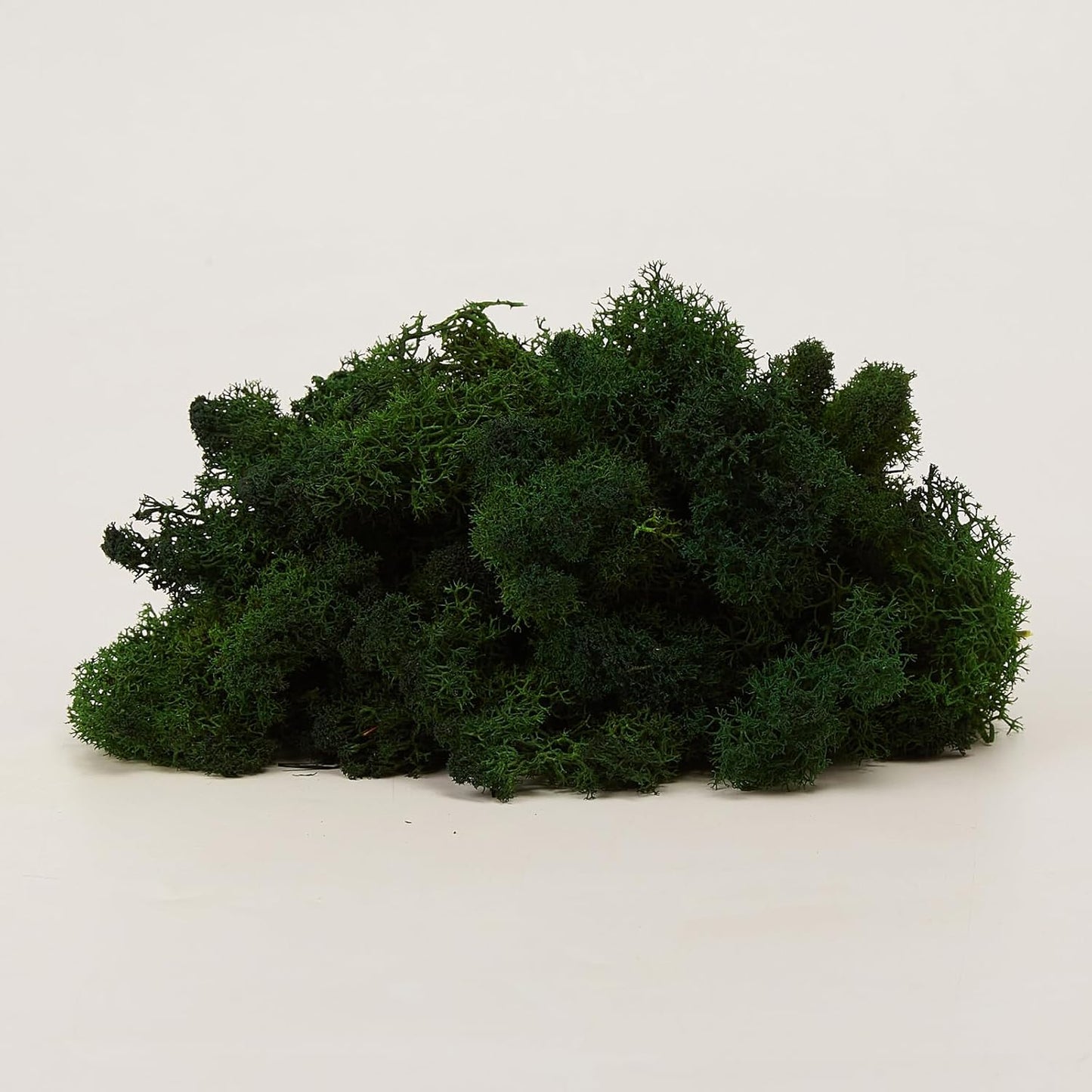 Preserved Reindeer Moss Natural Green DIY Kit Gardenning Art Wall Decor Florist Decor Easter Table Decor Wedding