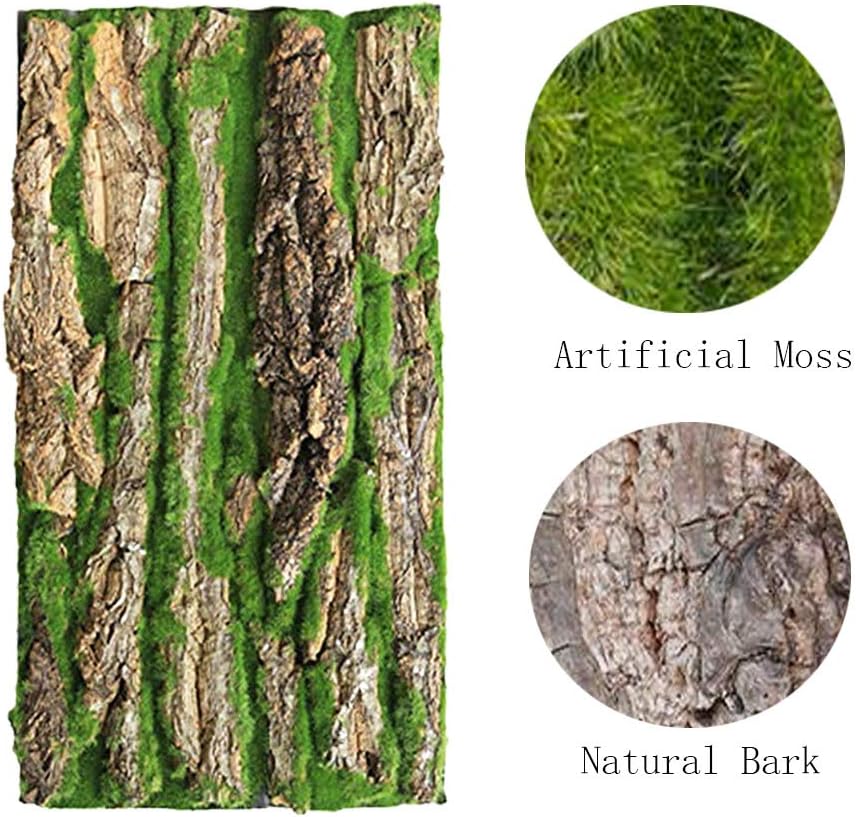 Cork Terrarium Background,Reptile Bark Backdrop Wall Decor and Artificial Moss for Gecko,Lizard,Tortoise,Chameleon (2 Pack)