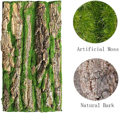 Cork Terrarium Background,Reptile Bark Backdrop Wall Decor and Artificial Moss for Gecko,Lizard,Tortoise,Chameleon (2 Pack)