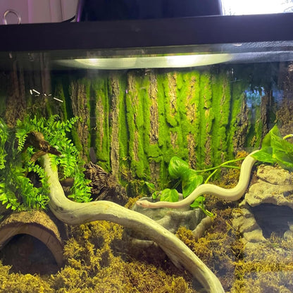 Cork Terrarium Background,Reptile Bark Backdrop Wall Decor and Artificial Moss for Gecko,Lizard,Tortoise,Chameleon (2 Pack)